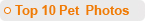 Top 10 Pet Photos